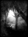 Night Mist.jpg