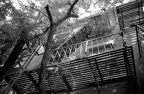 Fire Escapes NYC.jpg