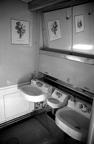 Train Double Sink Toilet.jpg