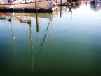 Victoria Bay Harbor Reflection.jpg
